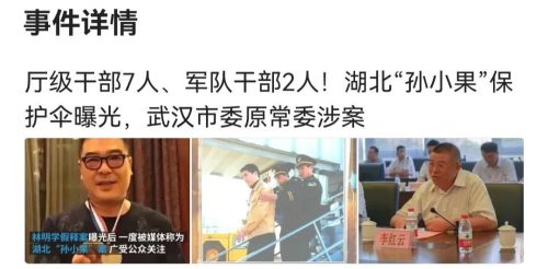 孙小果为什么像李(孙小果长得像谁)插图1