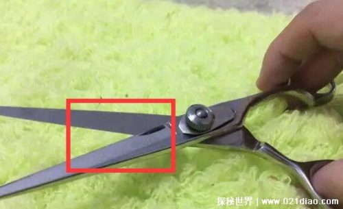 剪刀哪个部位最锋利(剪刀哪个牌子最锋利)插图1