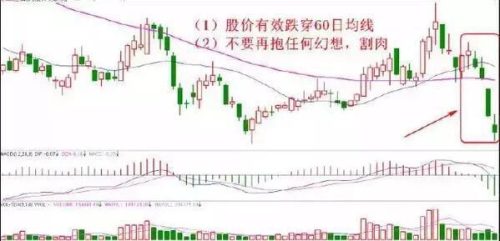 净资产8元股价却3元(净资产8元股价却3元退市)插图1