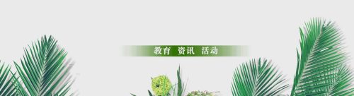 江宁最好的学区房在哪个位置(江宁最好的学区排名)插图