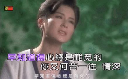 十首最好老歌经典再回首(十首最好老歌经典)插图4