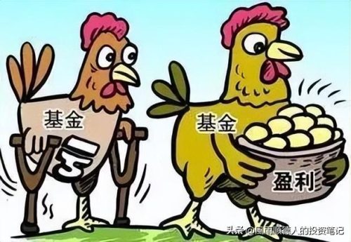2022年指数基金排名前十名(指数基金排行前十名)插图7