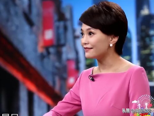 上海主持人名单 全部 (现历任主持人名单大全)插图15