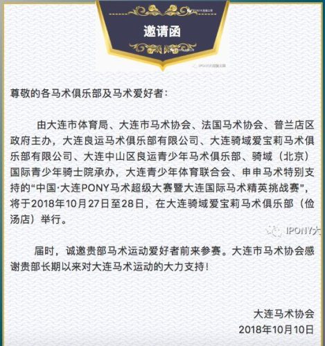 pony马是什么意思(pony品牌什么意思)插图3