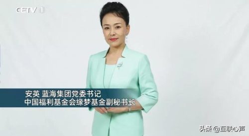 蓝海集团董事长与安英什么关系(蓝海集团安英简介)插图