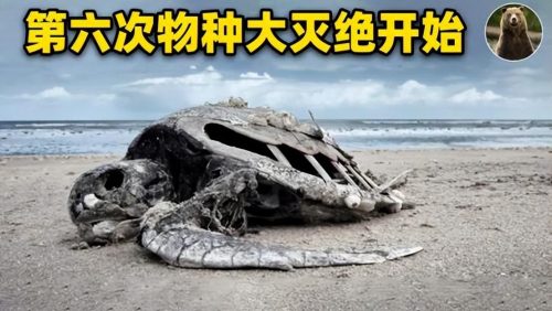 人类一共灭绝了几次(人类的灭绝时间)插图1