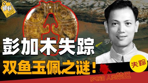 彭加木双鱼玉佩事件是真的吗(双鱼玉佩事件是真的吗)插图