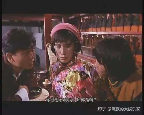 林正英十大必看经典僵尸电影)(林正英24部经典僵尸电影)插图23