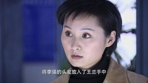 关于法医破案的电视剧 (近30年评分最高10部刑侦剧)插图22
