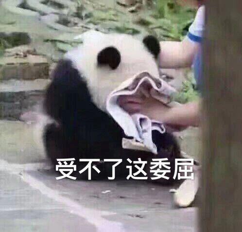 难受的图片和表情包(特别难受的表情包)插图1