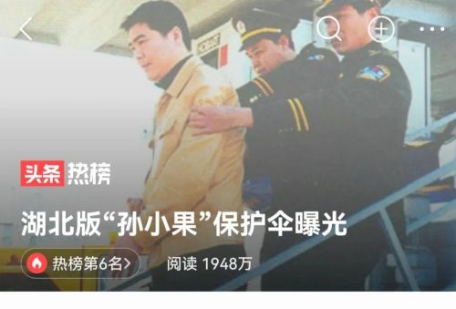 孙小果为什么像李(孙小果长得像谁)插图