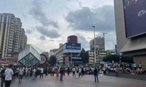 华强北陈金凌个人资料（华强北陈金凌老婆个人资料）插图19