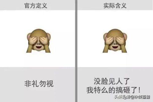 2022微信表情含义图解大全(2023微信表情含义)插图12