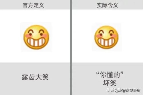 2022微信表情含义图解大全(2023微信表情含义)插图11