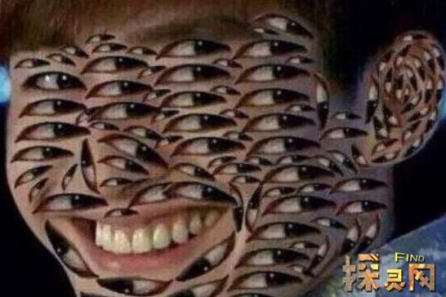 张翰的的眼睛图片由来(张翰的眼睛是啥)插图