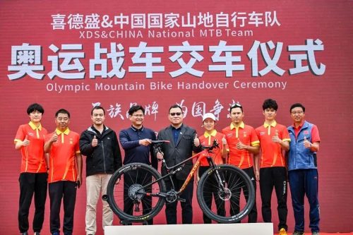 国产自行车品牌排行(国产十大山地车排行)插图1