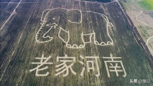 豫是哪个省的简称(鄂是哪个省的简称)插图