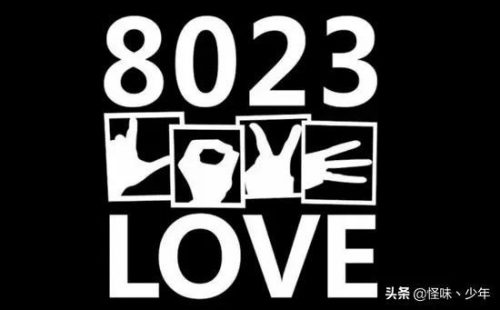 8023的真正含义(8023的真正含义是什么)插图