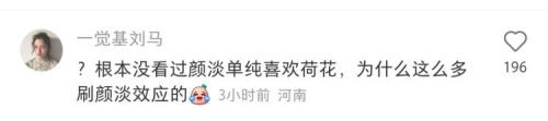菡萏是什么花 (古诗中的草花图)插图2