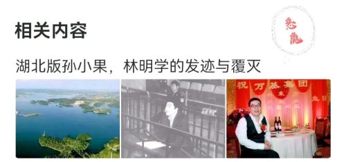 孙小果为什么像李(孙小果长得像谁)插图8