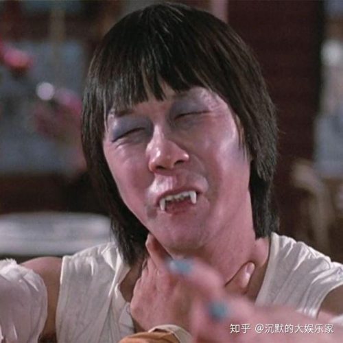 林正英十大必看经典僵尸电影)(林正英24部经典僵尸电影)插图9