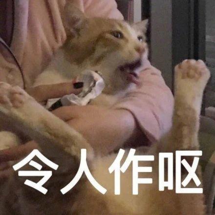 难受的图片和表情包(特别难受的表情包)插图36