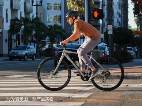 捷安特公路自行车价格表2022(女式捷安特自行车价格表2022)插图1