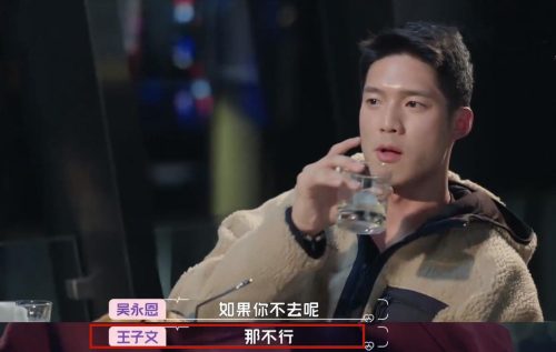 吴永恩真实个人资料 (王子文比吴永恩大多少)插图51