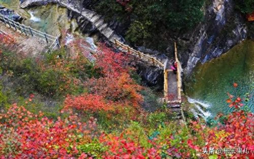 搜索商洛市十大景点排行榜(商洛一日游景点大全)插图33