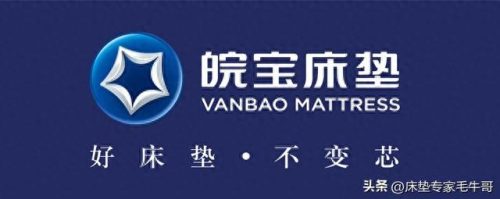 床垫十大品品牌排行榜卧虎(十大品牌床垫)插图11
