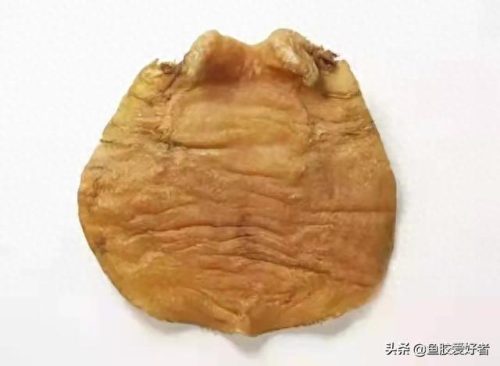 什么是鱼胶十大鱼胶排行榜(巴沙鱼鳔价格)插图1