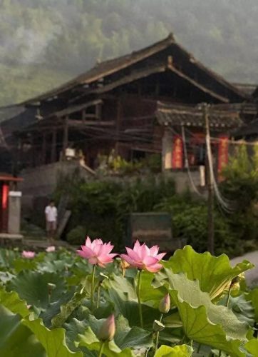 怀化地固十大排行榜(怀化必买的十大特产)插图47