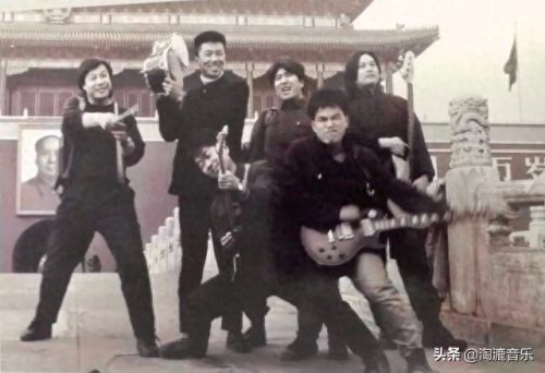 中国十大唱鸟排行榜图片(海南十大常见鸟)插图14