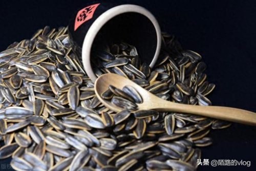 十大好吃的瓜子品种排行榜(最好吃的瓜子排行榜)插图2