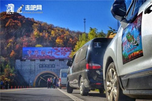 11月旅游十大排行榜(8月份旅游热门排行榜)插图9