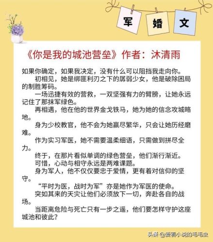 十大经典女主军婚文(必看经典军婚文)插图3