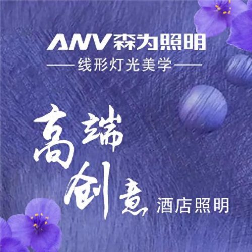 国内灯具品牌十大排行榜(简东灯具是品牌吗)插图