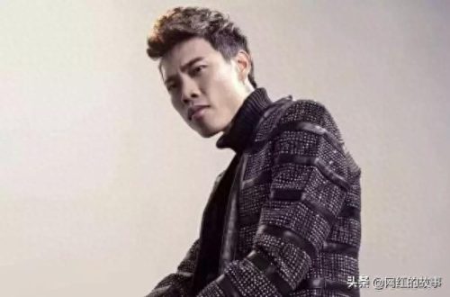 快手十大歌曲网红排行榜(快手前100名网红列表)插图1