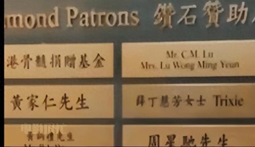 香港十大明星捐款排行榜(赵丽颖是否给香港捐款)插图15
