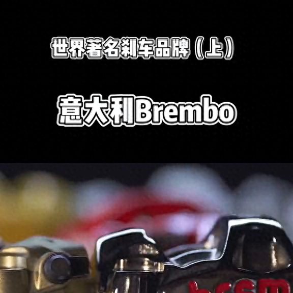 十大进口品牌刹车盘排行榜(中国刹车盘十大品牌)插图
