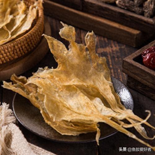 什么是鱼胶十大鱼胶排行榜(巴沙鱼鳔价格)插图19