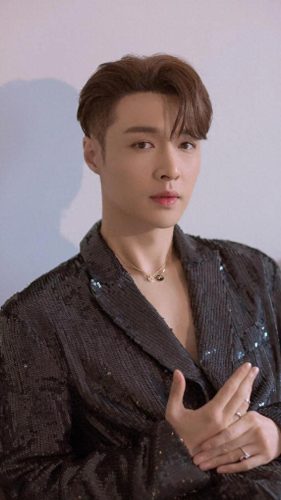 十大网红洗脑歌手排行榜(十大顶尖音乐洗脑神曲)插图