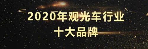 电瓶巡逻车十大品牌排行榜(电动巡逻车十大品牌)插图