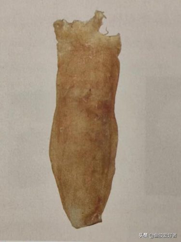 什么是鱼胶十大鱼胶排行榜(巴沙鱼鳔价格)插图20