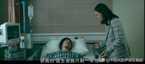 宝可梦十大强人排行榜最新(宝可梦厉害排名)插图5