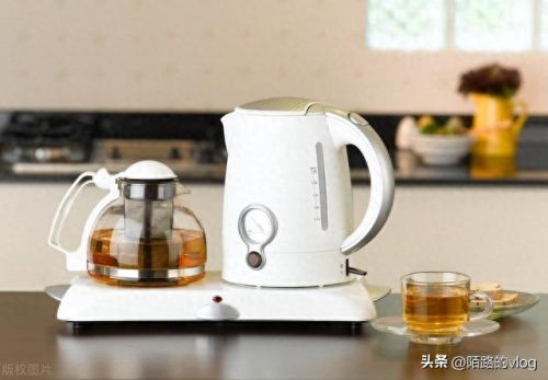 电热水壶十大品牌排行榜(烧水壶哪个品牌好)插图1