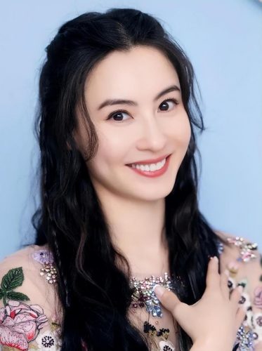 张柏芝承认三胎孙东海(张柏芝三胎生父 孙东海)插图5