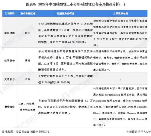 中国碳酸锂十大公司产量排名(中国锂电池十大排名)插图3