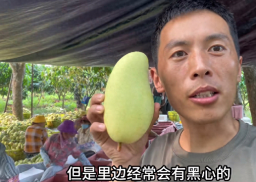 十大水果主播排行榜图片(中国网红水果主播)插图 十大水果主播排行榜图片(中国网红水果主播)插图