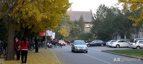 nikond300使用手册(nikon相机使用教程d3100)插图11